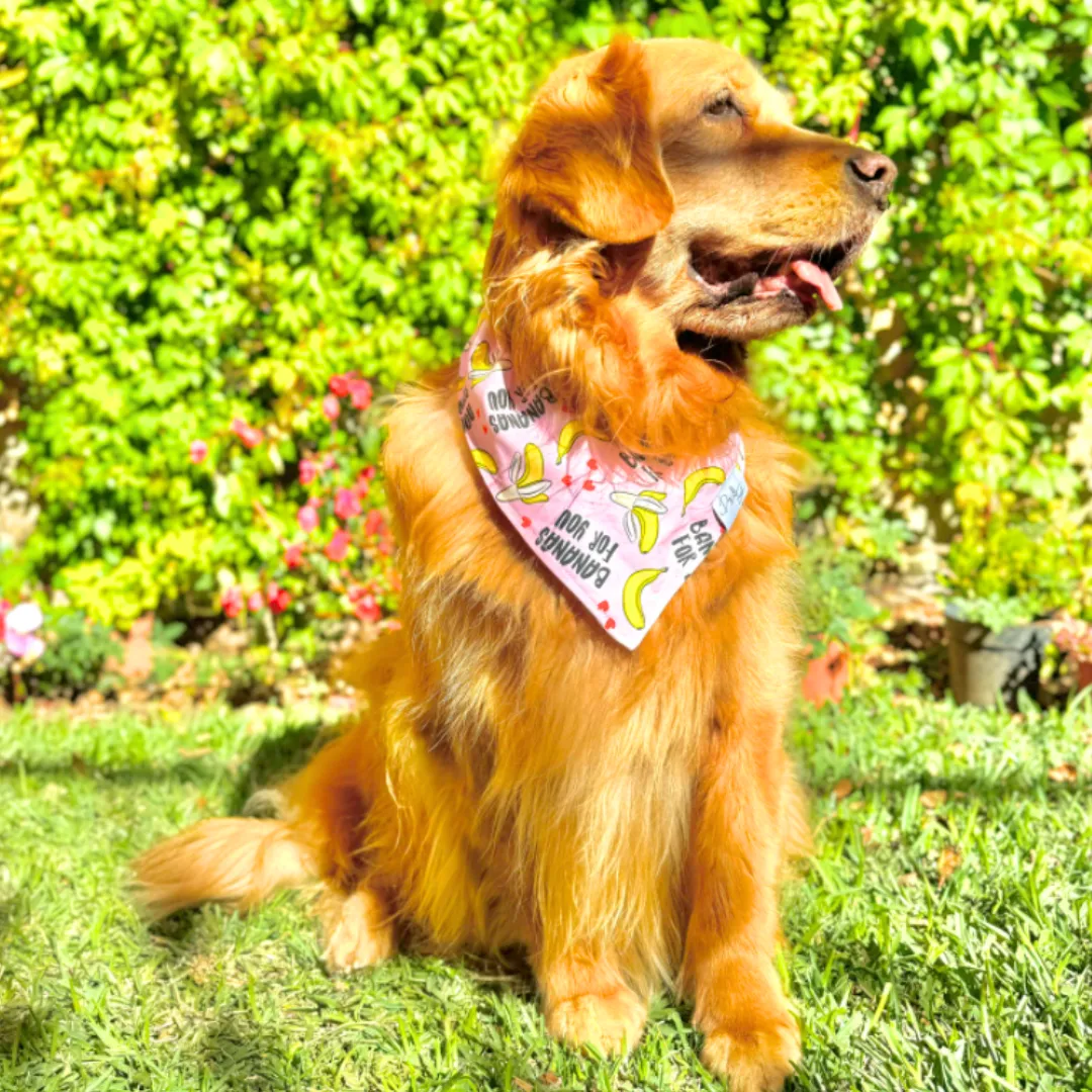 Bananas For You Dog Bandana