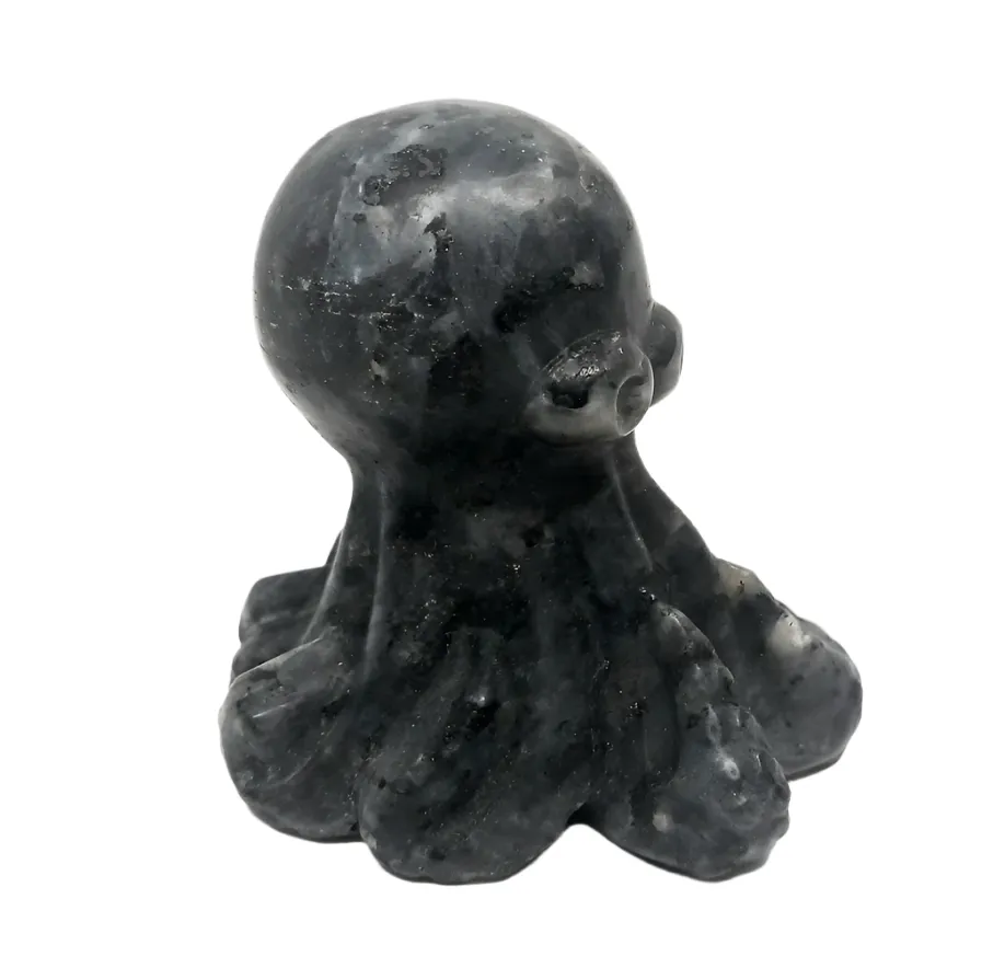 Larvikite Crystal Octopus Carving