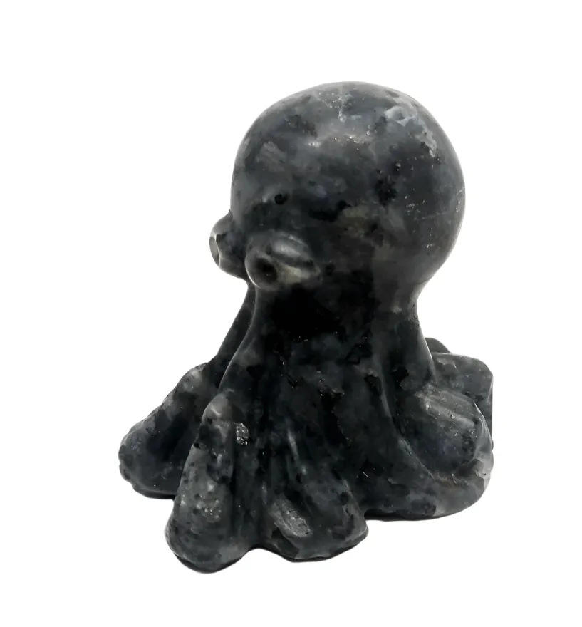 Larvikite Crystal Octopus Carving